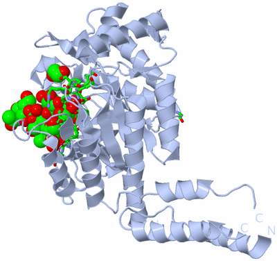 Image Biol. Unit 1 - sites