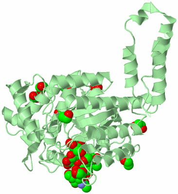 Image Biological Unit 2