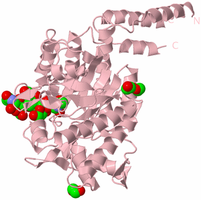 Image Biological Unit 3