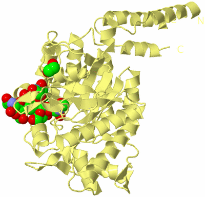 Image Biological Unit 4