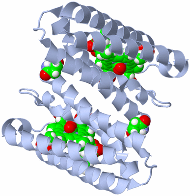 Image Biological Unit 1