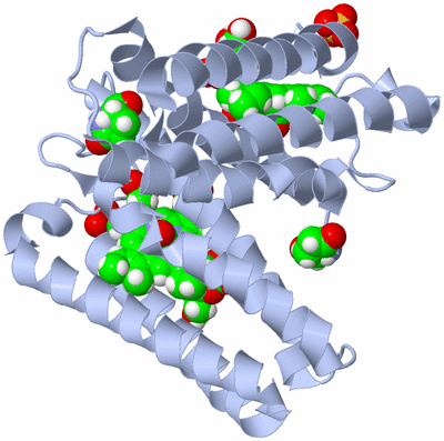 Image Biological Unit 1