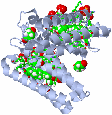 Image Biol. Unit 1 - sites