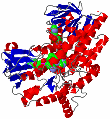 Image Asym./Biol. Unit