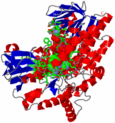 Image Asym./Biol. Unit - sites