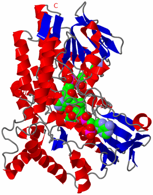 Image Asym./Biol. Unit