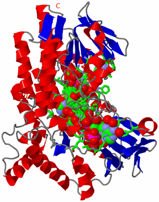 Image Asym./Biol. Unit - sites