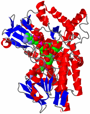 Image Asym./Biol. Unit