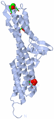 Image Biol. Unit 1 - sites