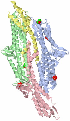 Image Biological Unit 5