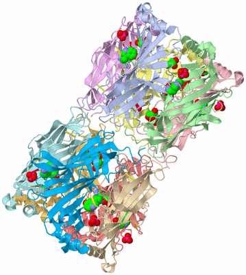 Image Biological Unit 1