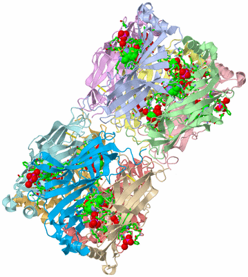 Image Biol. Unit 1 - sites