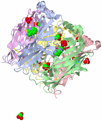 Image Biological Unit 2