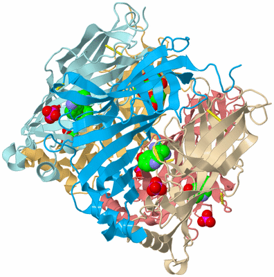 Image Biological Unit 3