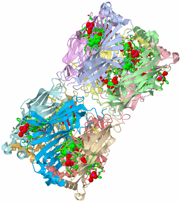 Image Asym. Unit - sites