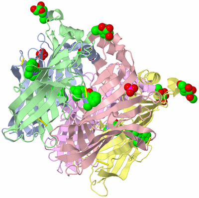 Image Biological Unit 2