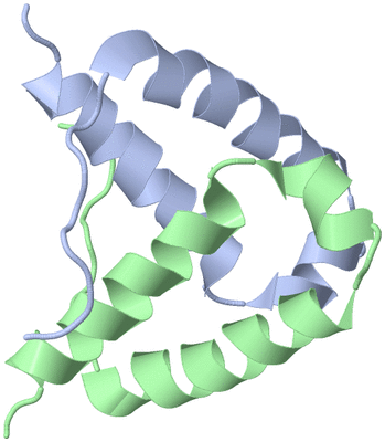 Image NMR Structure - model 1