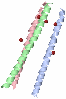 Image Asymmetric Unit