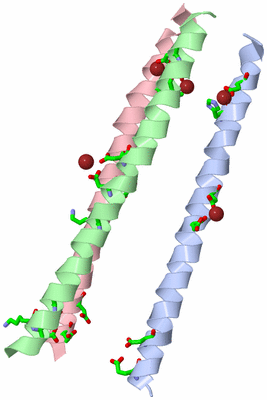 Image Asym. Unit - sites