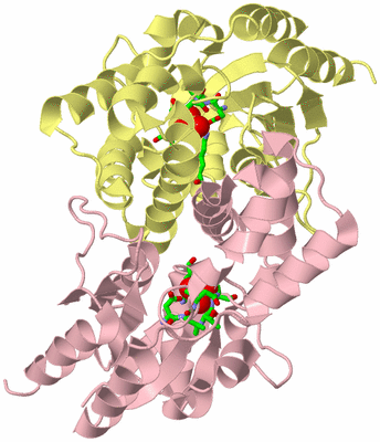 Image Biol. Unit 1 - sites