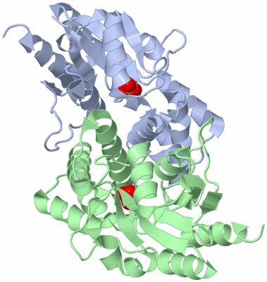 Image Biological Unit 2