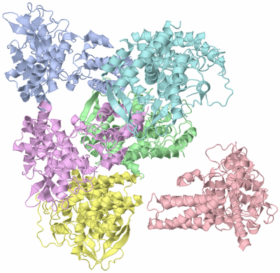 Image Asym./Biol. Unit