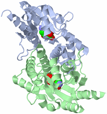 Image Asym./Biol. Unit