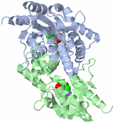 Image Asym./Biol. Unit