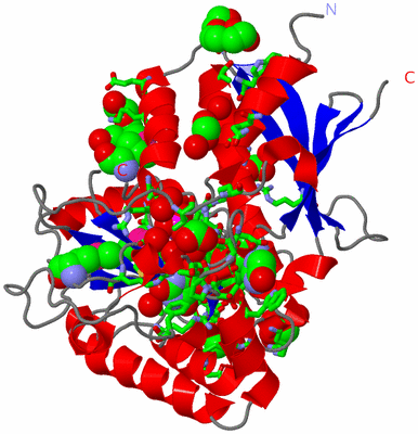 Image Asym./Biol. Unit - sites