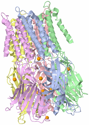 Image Asym./Biol. Unit