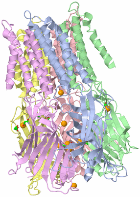 Image Asym./Biol. Unit - sites