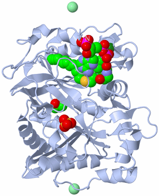 Image Biological Unit 1