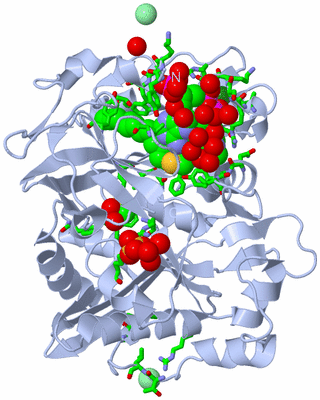 Image Biol. Unit 1 - sites