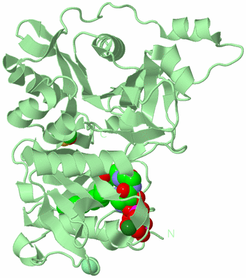 Image Biological Unit 2