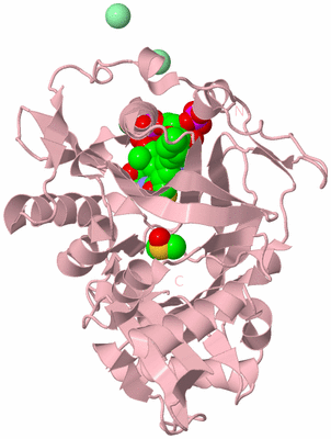 Image Biological Unit 3