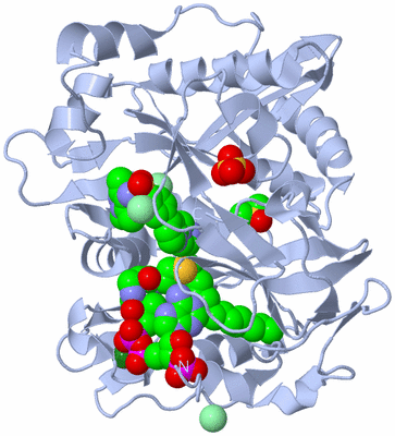 Image Biological Unit 1