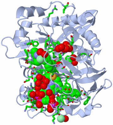 Image Biol. Unit 1 - sites