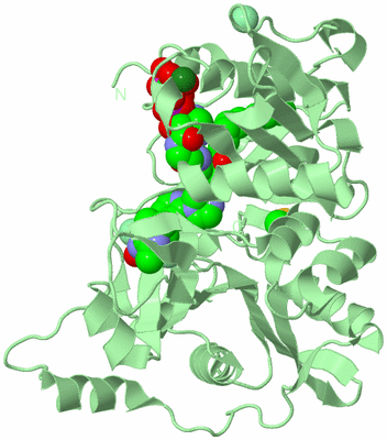 Image Biological Unit 2