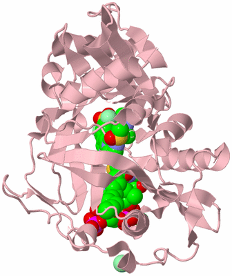 Image Biological Unit 3