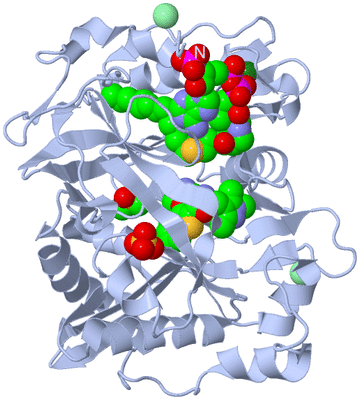 Image Biological Unit 1