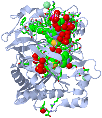 Image Biol. Unit 1 - sites