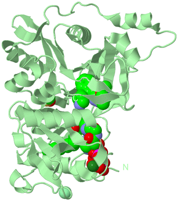 Image Biological Unit 2