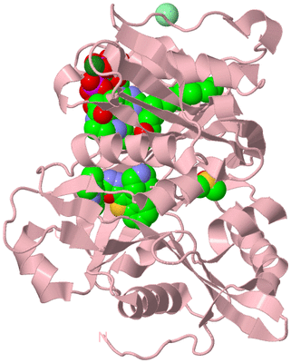 Image Biological Unit 3