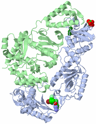 Image Asym./Biol. Unit