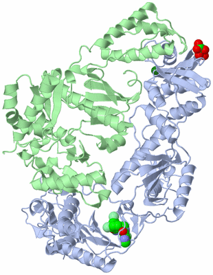 Image Asym./Biol. Unit