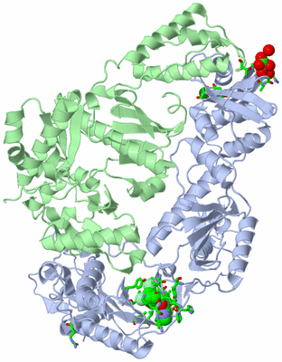 Image Asym./Biol. Unit - sites