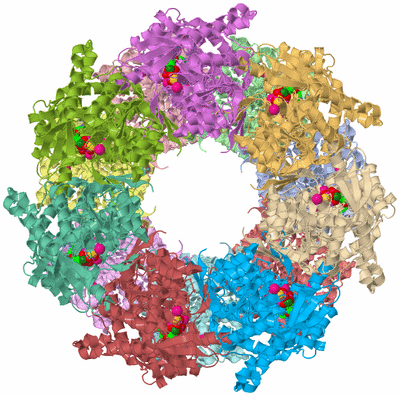 Image Asym./Biol. Unit