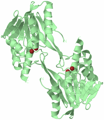 Image Biological Unit 1