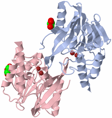 Image Biological Unit 2