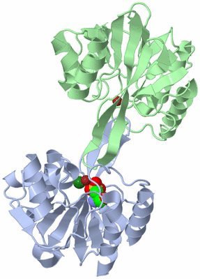 Image Asym./Biol. Unit